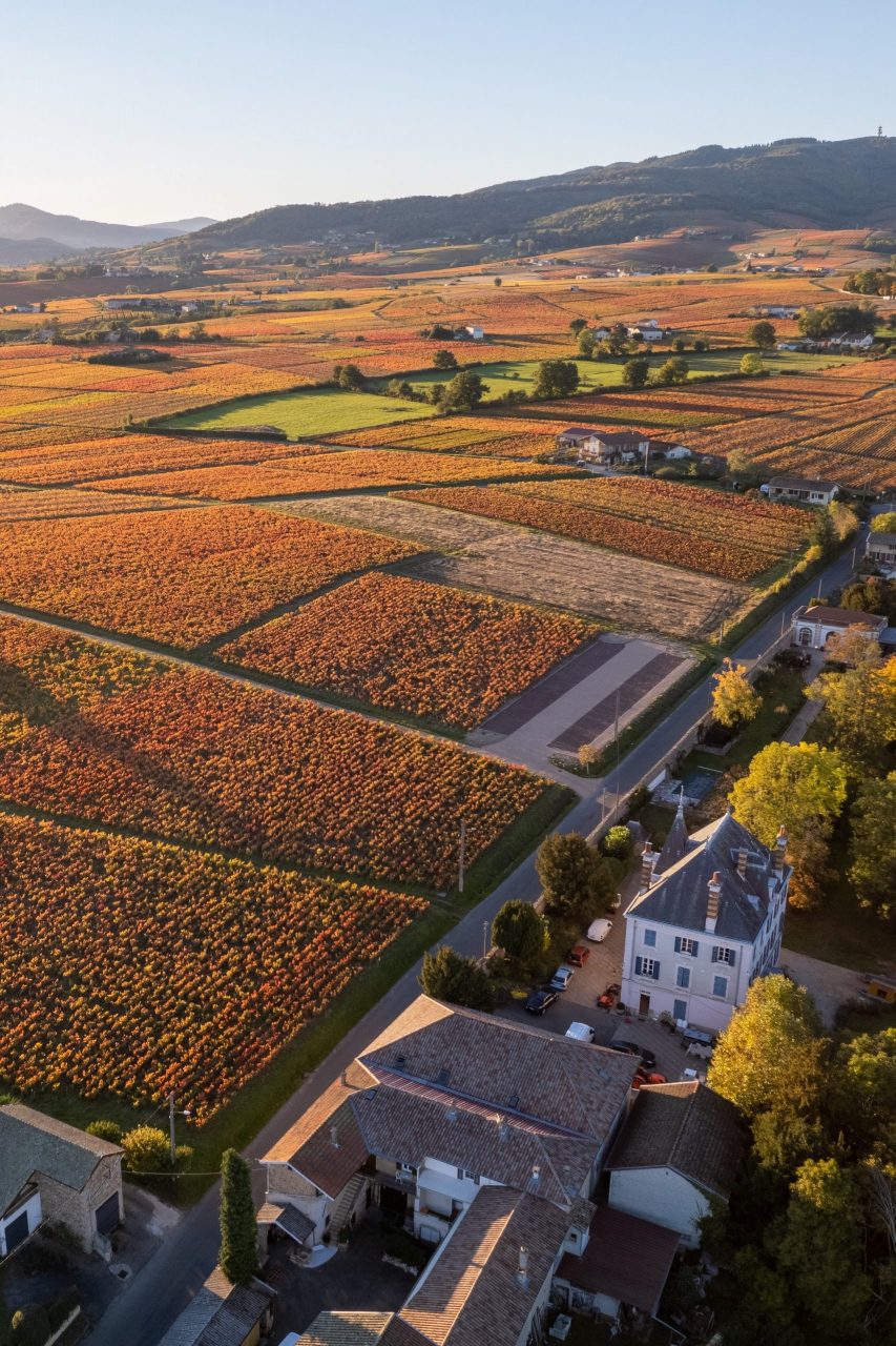Château Grange Cochard