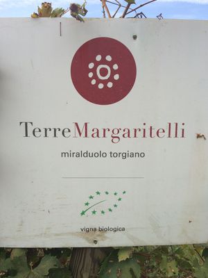 Terre Margaritelli